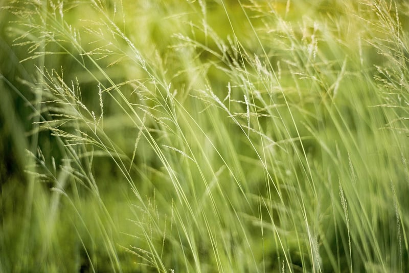 Fun Eco-Friendly Activities