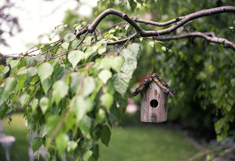 DIY Birdhouse in Garden